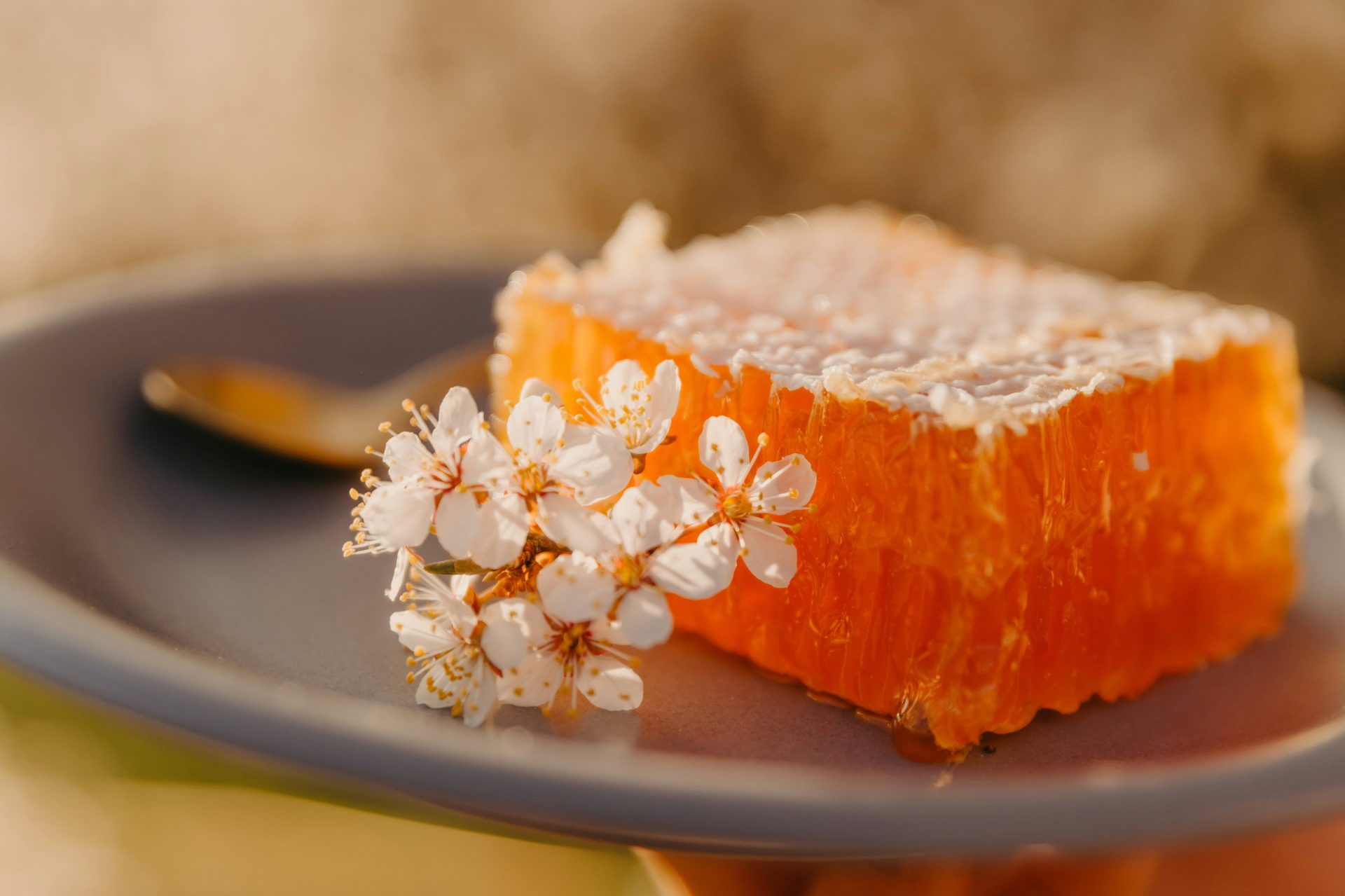 a piece of cake on a plate with a spoon